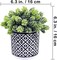 3-Piece Artificial Succulent Set – Modern Greenery in Black Geometric Pots